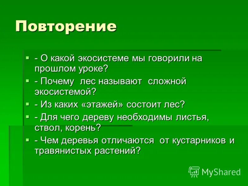 Кличка зеленый. Почему лес называют сообществом 2 класс. Рассказ почему лес называют сообществом 2 класс окружающий мир. Сложные экосистемы. Почему лес называется природным сообществом.