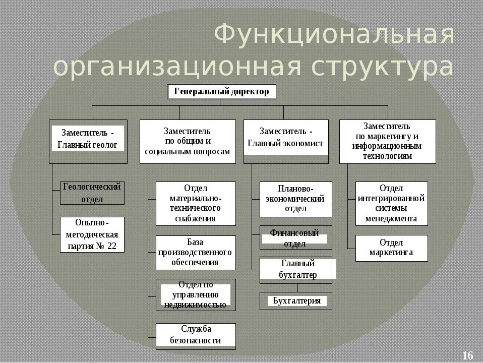 Функциональная организационная структура предприятия. Функциональная организационная структура предприятия схема. Функциональная оргструктура управления предприятием. Функциональный вид организационной структуры. Функциональные органы учреждения