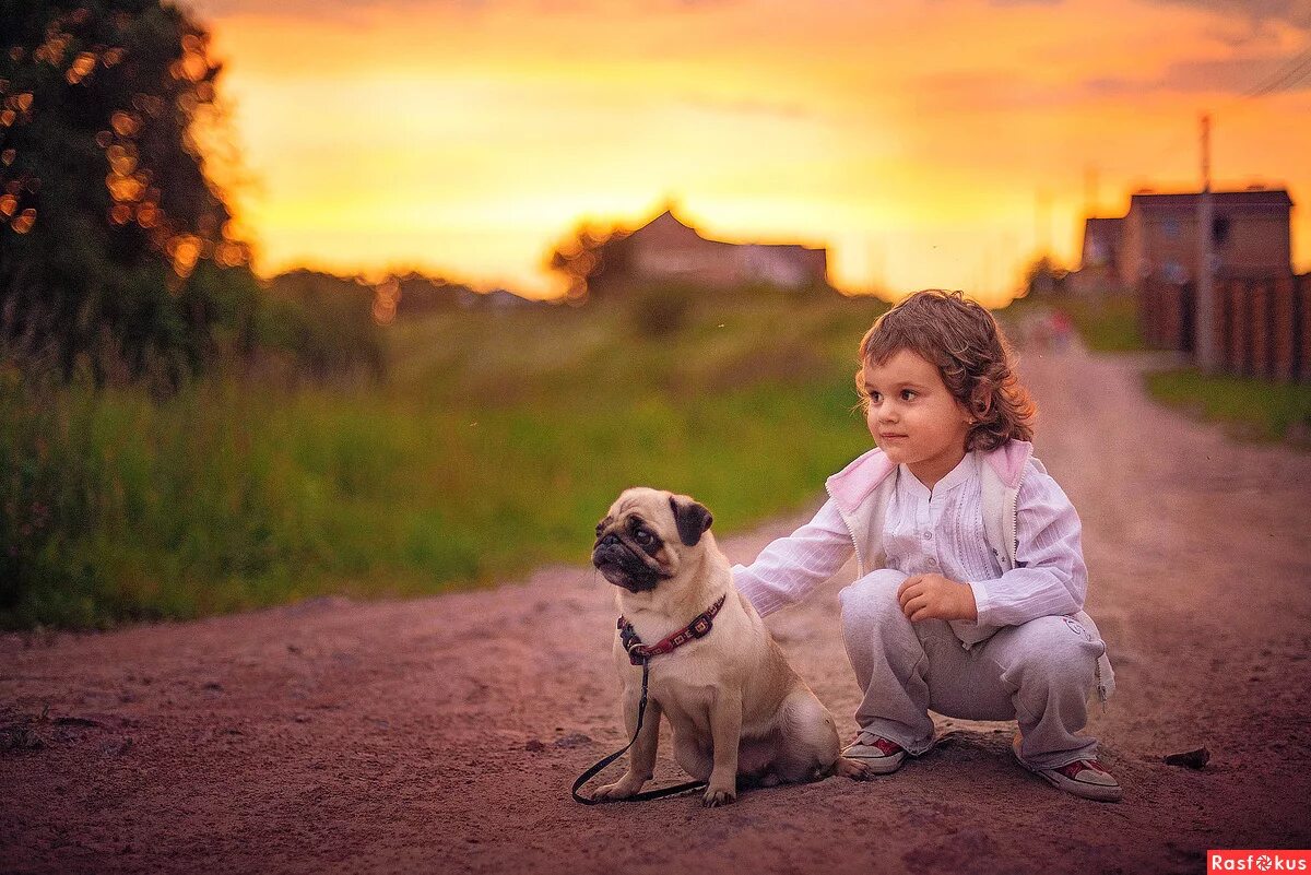 Добро картинки. О доброте. Добро картинки красивые. Фото добра. Добрые фотографии.