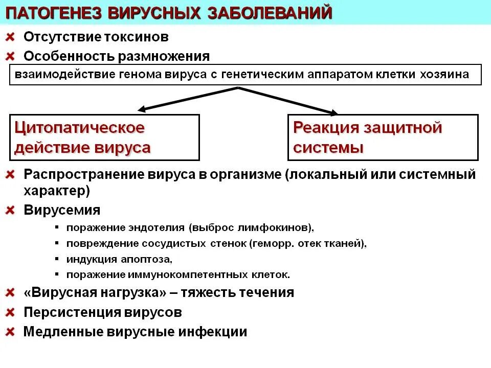 Патогенетические механизмы вирусных инфекций. Характерные патогенетические механизмы при вирусных инфекциях. Особенности патогенеза вирусных инфекций. Механизм развития вирусных инфекций. Вирусы патогенез