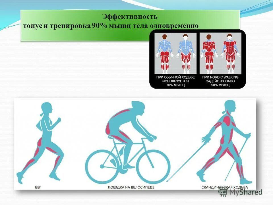 Сколько при ходьбе используется. Сколько мышц задействовано при ходьбе. Сколько при ходьбе используется. Сколько при ходьбе используется. Мышцы человека.