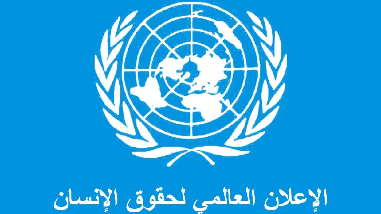 Конвенция 2000. Конвенция ООН. Международная конвенция ООН. Конвенция ООН против транснациональной организованной преступности. Флаг ООН.