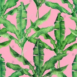 Vintage green banana