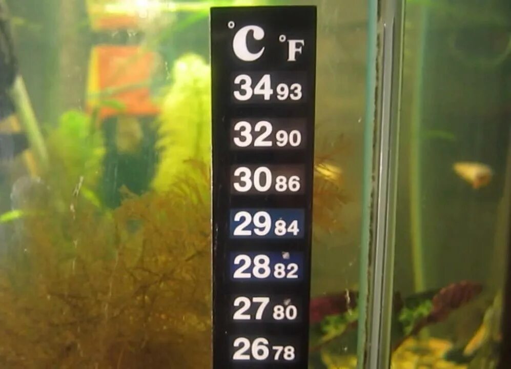 Сколько воздуха в аквариуме. Термометр для аквариума. Жидкокристаллический термометр рыбка. Температура в аквариуме для рыбок. Какая температура в аквариуме.