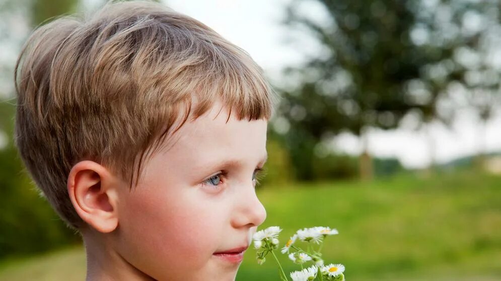 Дети пришедшие в мае. Мальчик с ландышами. Мальчик нюхает цветок. Мальчик с цветком.