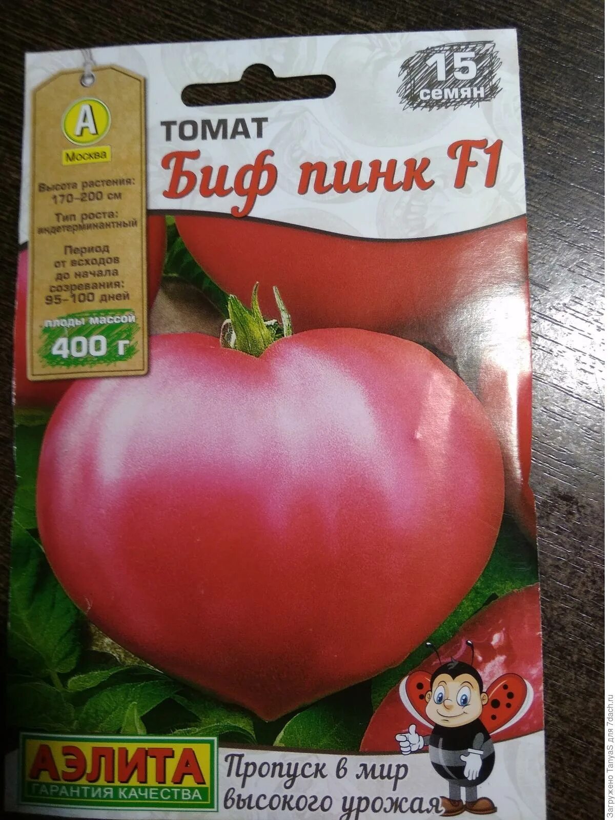 Сорт томатов биг биф. Томат биф пинк бренди f1 вкуснятина. томат биг биф f1. пинк биф f1 томат семко.