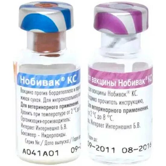 Российские вакцины для собак. Вакцина Нобивак Lepto. Комплексная вакцина для собак Нобивак. Нобивак для собак dhppi2. Вакцина Нобивак DHPPI + L, комплект.