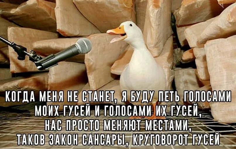 Как поет утка