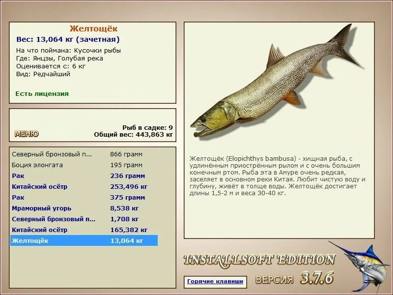 золотистый сомик малек. орхидская форель. желтощек реальная рыбалка. черный амур реальная рыбалка. желтощек реальная рыбалка.
