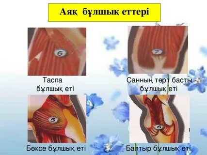 Порно жасауға арналған сынақ ойындары