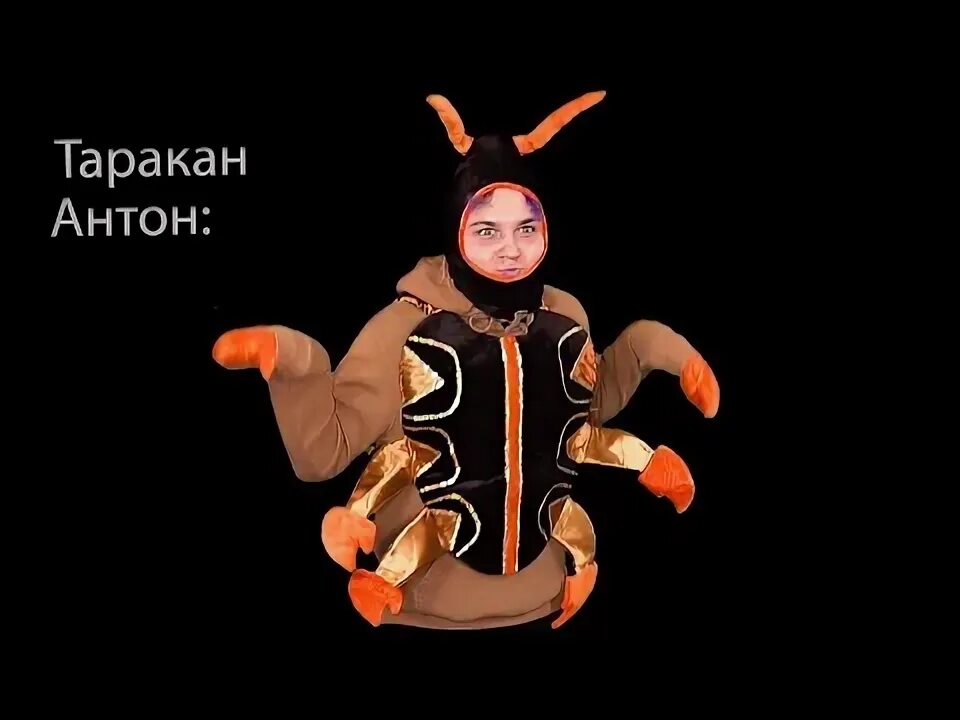 Таракан танцует 10 часов. Костюм таракана. костюм таракана для мальчика. татарстан супер гуд таракан.