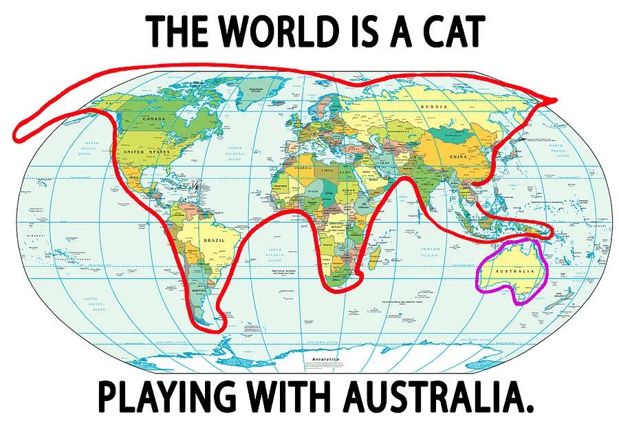 Кэт мэп. The World is a Cat playing with Australia. Cat playing with Australia. Cat World. The World is a Cat.