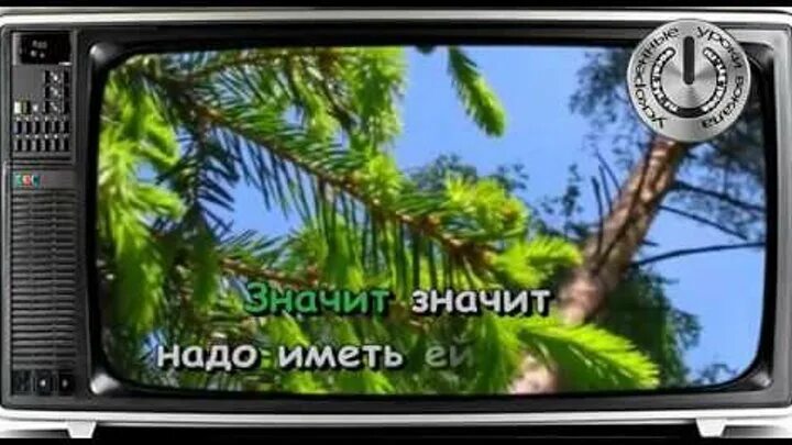 Беловежская пуща слова караоке. Беловежская пуща. Слова песни беловежская пуща. Беловежская пуща песняры. Беловежская пуща слова караоке.