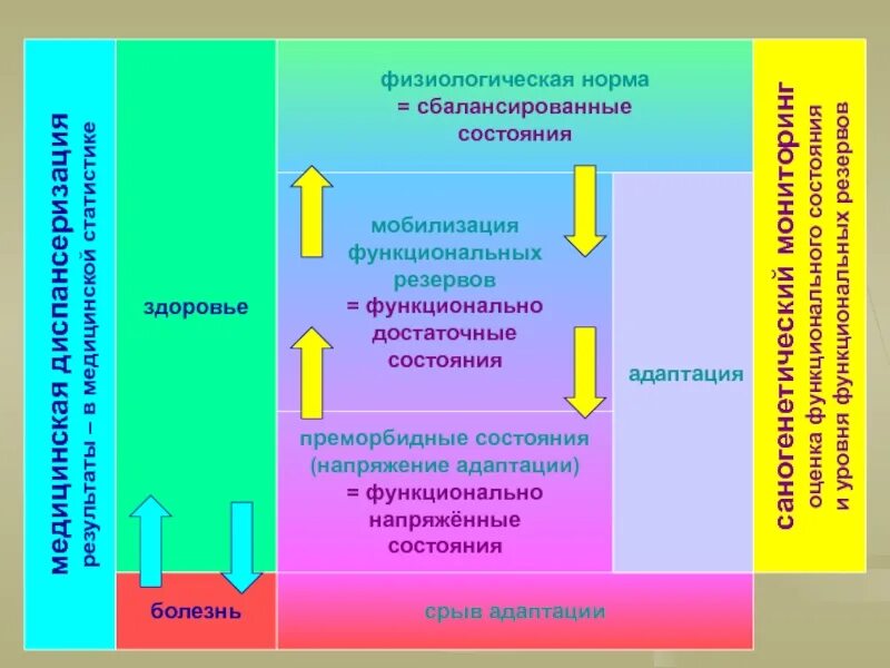 Физиологическая норма
