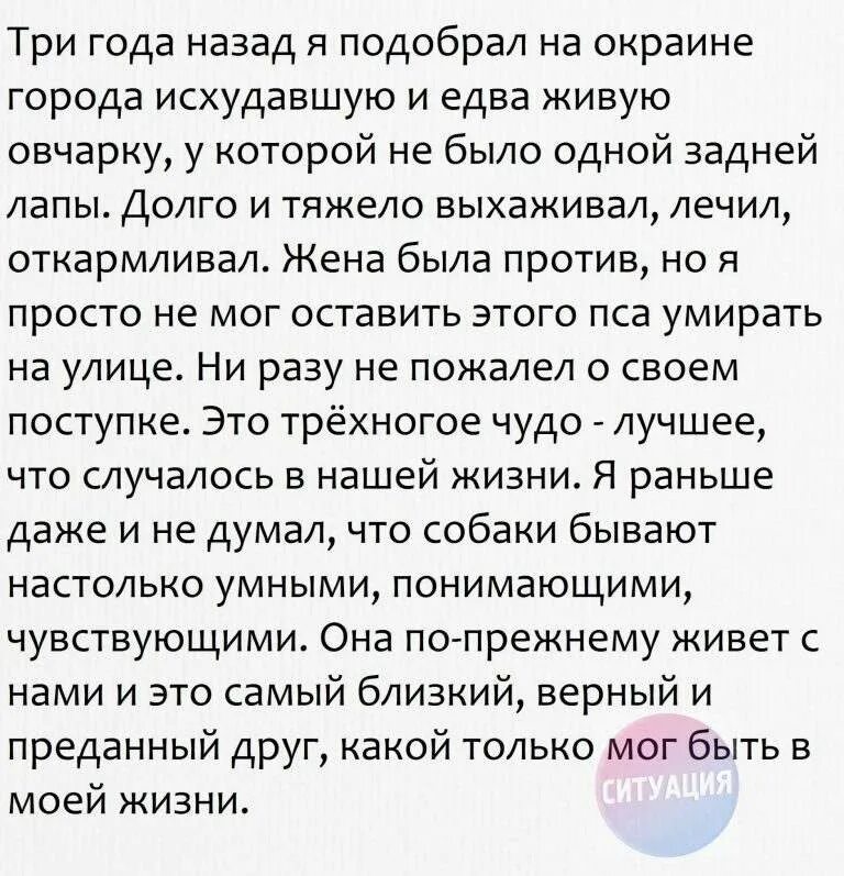 Читаем интересные истории. Интересные рассказы из жизни людей. интересные истории из жизни. смешные истории из жизни. интересные рассказы из жизни.