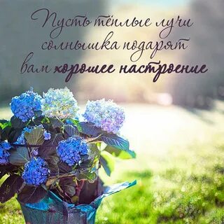 Доброго летнего утра пожелание позитивные