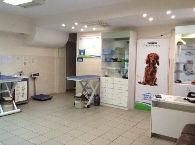 Свой доктор кузьминки. Ветклиника свой доктор на молодежной. свой доктор печатники. свой доктор хабаровск ветклиника. ветклиника свой доктор улица сталеваров.