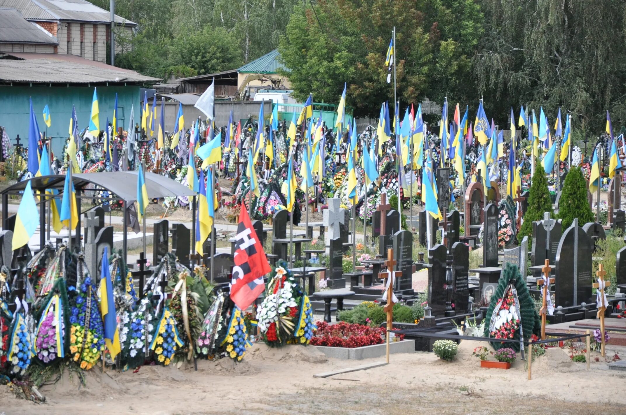 Украинские кладбища. Кладбище воинов. Кладбище на Украине с флагами. Киев.