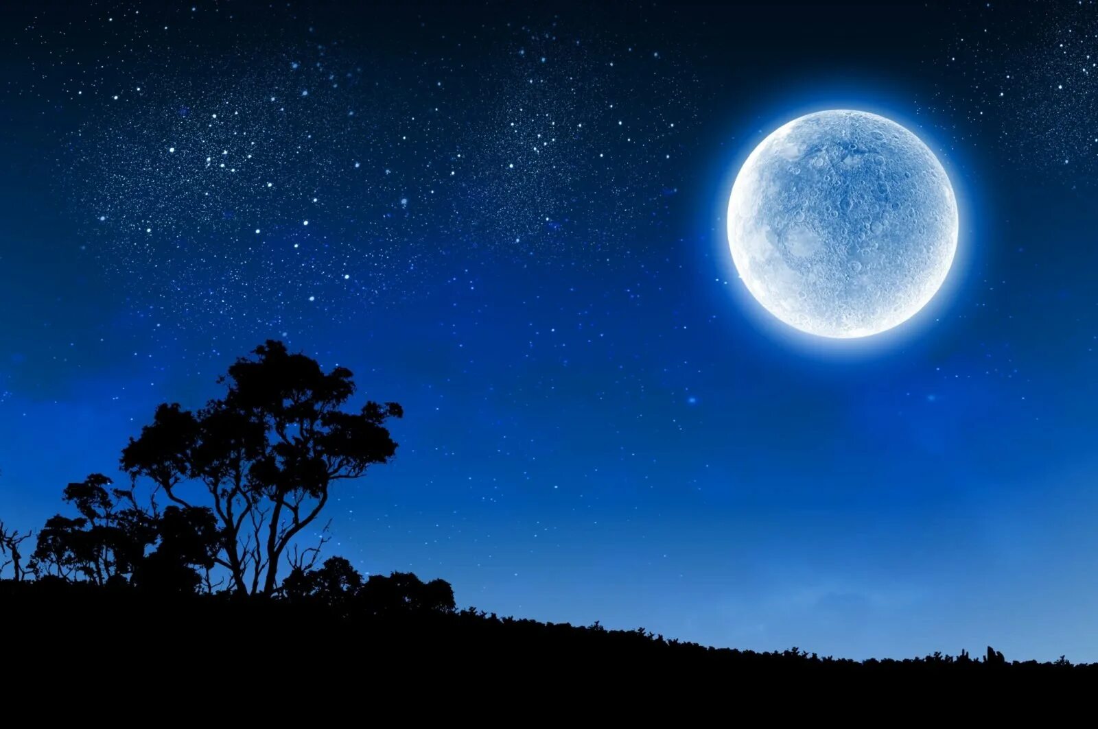 Ночь с луной 4. Луна. Полнолуние. Лу. Яркая Луна.