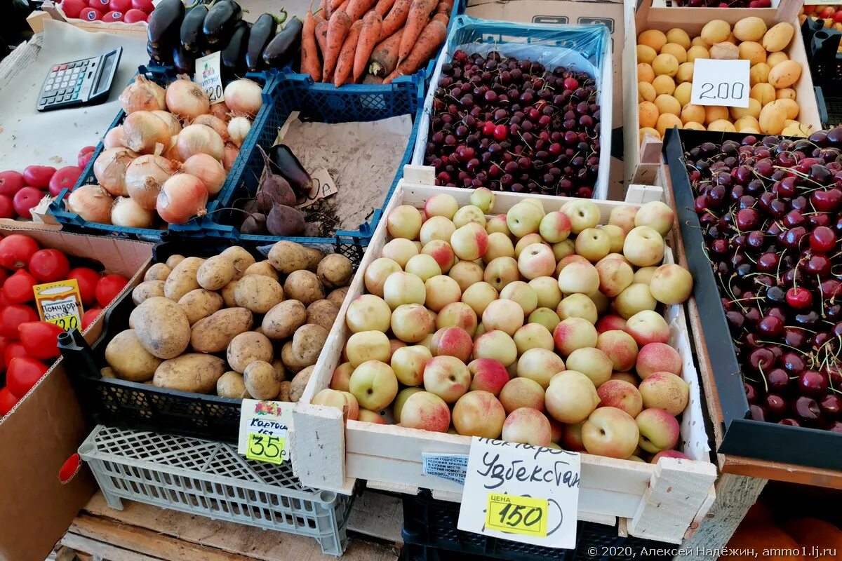 Рынок Владыкино. Овощи на рынке. Оптовый рынок овощей и фруктов. Оптовый овощной рынок. Москва рынки овощей