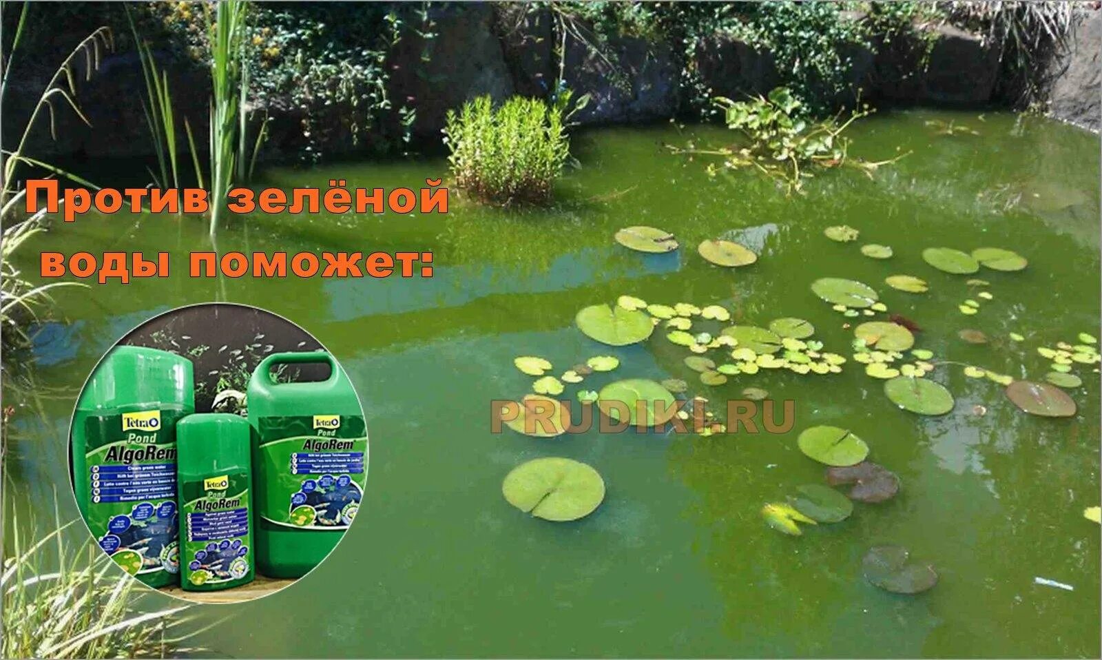 Как избавиться от цветения