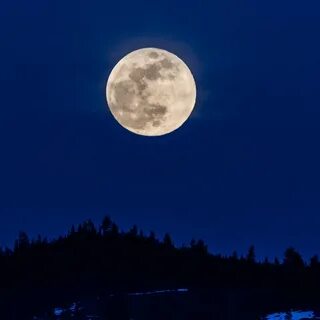 Как выглядит луна ночью