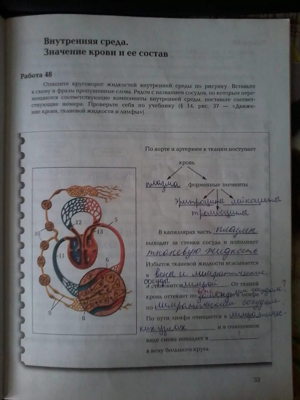 Биология 8 рабочая тетрадь с дельфином. Биология 8 класс внутри страницы. Биология драгомилов 8 класс стр 33 номер 12. Биология РТ 8 класс. Биология 8 класс драгомилов кровь.