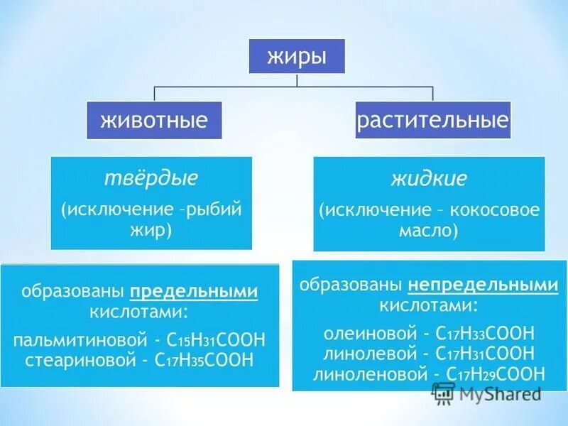 тела в жидком состоянии. твердое жидкое газообразное. растительный и животный жир. внутреннее строение вещества. чем жидкое отличается от твердого.