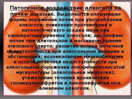 Что нельзя делать с одной почкой