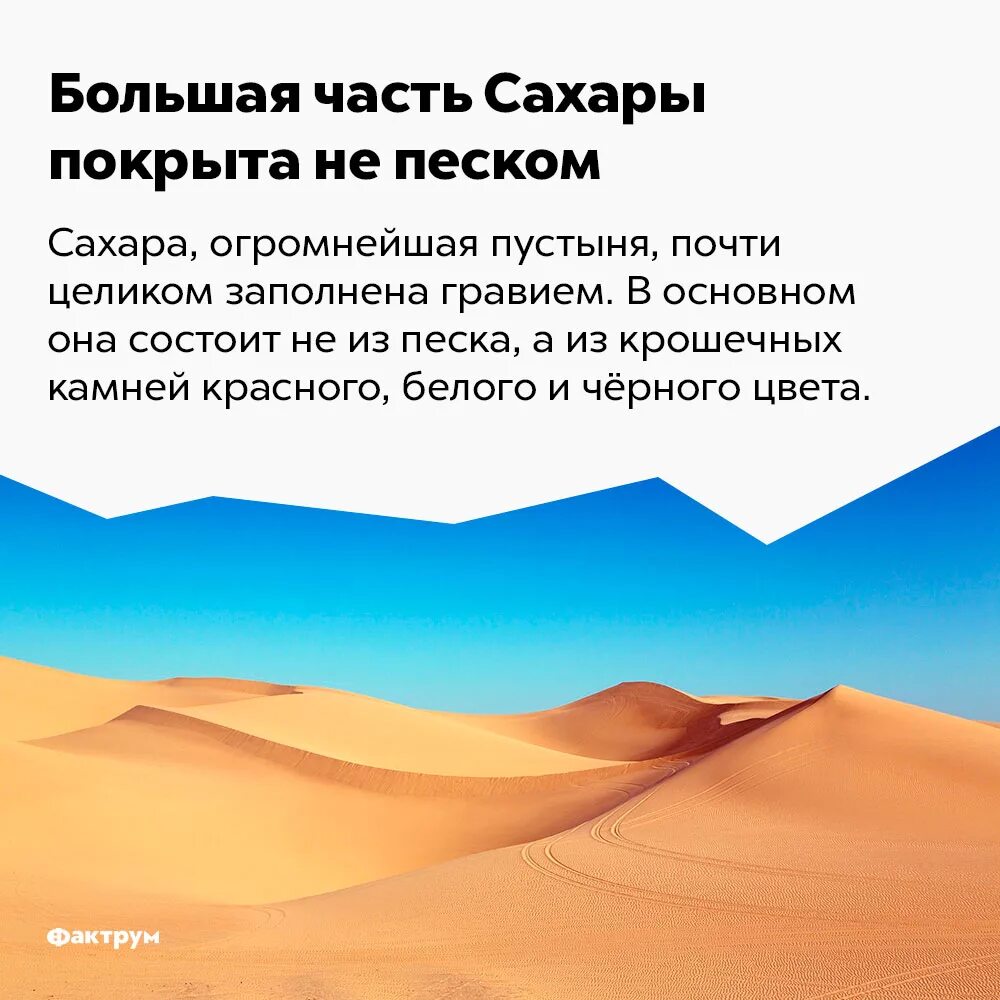 Какая глубина песка в сахаре. Зыбучие пески в пустыне сахара. В песках. Город в пустыне. Глубина песка в пустыне сахара.