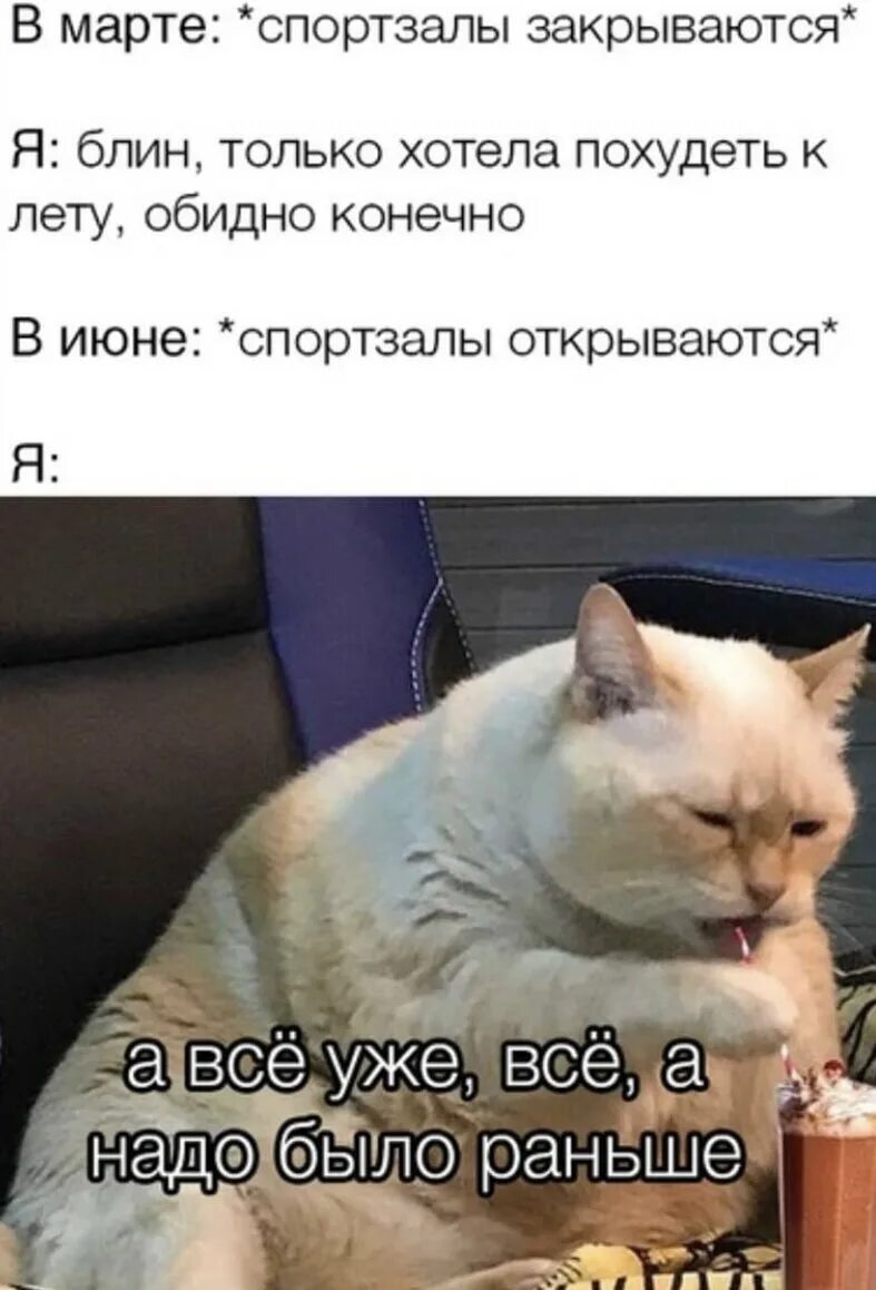 Раньше был кот. А всё всё надо было раньше. а поздно уже а все надо было раньше. а уже все все все все а надо было раньше. а все уже все.
