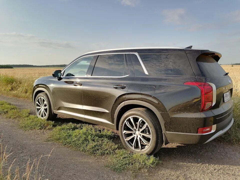 2. Огородная палисада cellfast standard. Hyundai palisade из кореи. Палисад наклонный. Hyundai palisade 2.