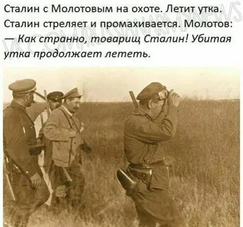 Стреляю не промахиваюсь