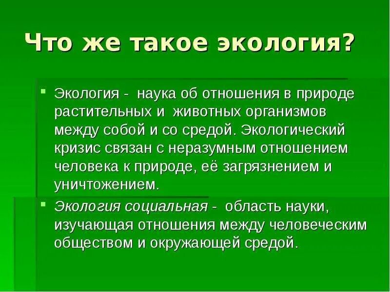 Экология это наука. Что такое экология кратко. Связь человека с окружающей средой. Человек и природа связаны между собой. Предмет связанный с природой