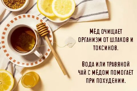 Есть ли утро