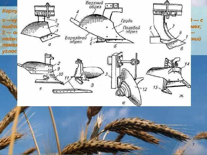 Часть плуга сканворд. Чертеж лемеха плуга. Лемех и отвал плуга. Плуг с выдвижным долотом. Типы корпусов плуга.