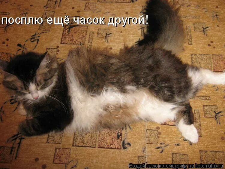 Ничего на свете лучше нету чем. Постучись ко мне в дверь приколы. Немного подустал. Подустала немного. Опять не спишь.