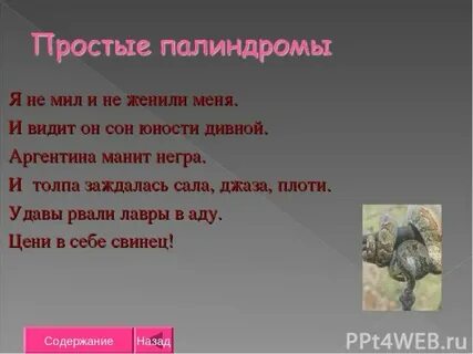 Ценю я и не гения палиндром 4