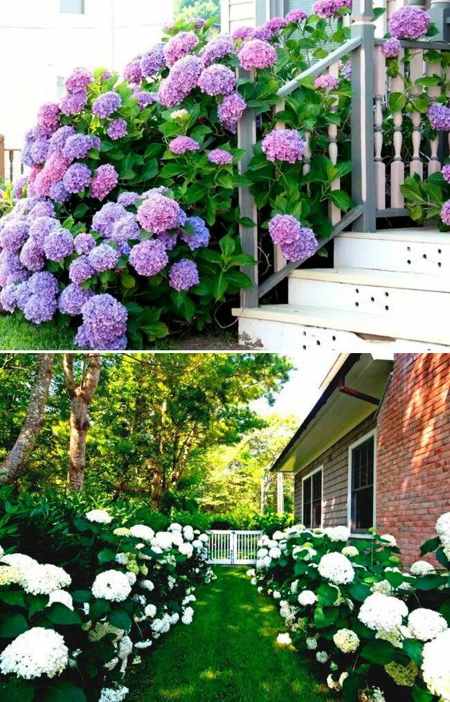 Ina Garten Garden Check more at http://www.diygarten.tk/2019/08/05/ina-garten-ga