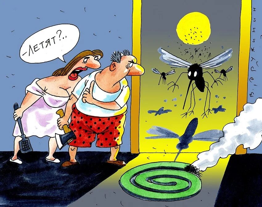 Слышу жужжание. Комар карикатура. Комары юмор. Смешной комар. Карикатуры про комаров.