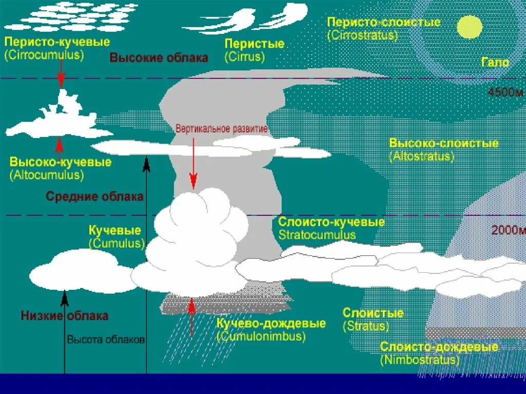 Какова высота облаков. Классификация видов облаков. Строение облаков. Структура облака. Виды облаков схема.