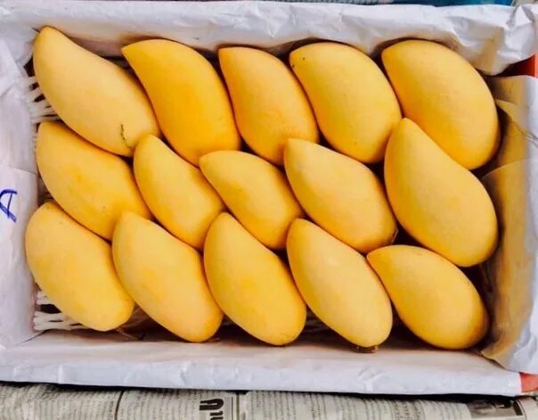 Mango Fragrance Oil Wholesale Supplier and Manufacturer in India