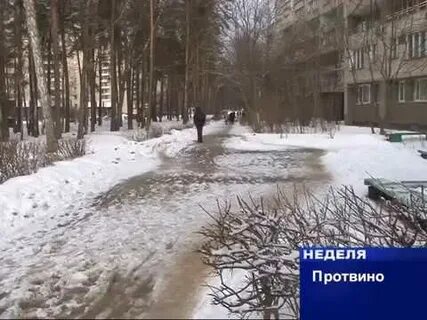 Неделя протвино