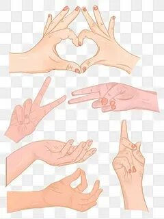 14 hands