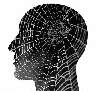 Web head
