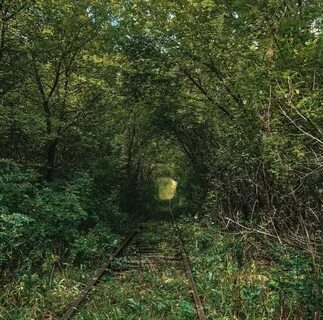 Погода сапеловка курская область