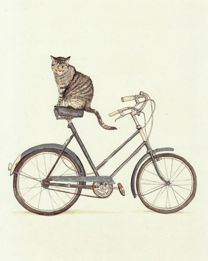 Cat bike. Кот на велосипеде. Велосипед рисунок. Кошачий велосипед. Велосипед арт.