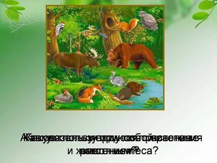 Невидимые нити в живой природе окружающий мир