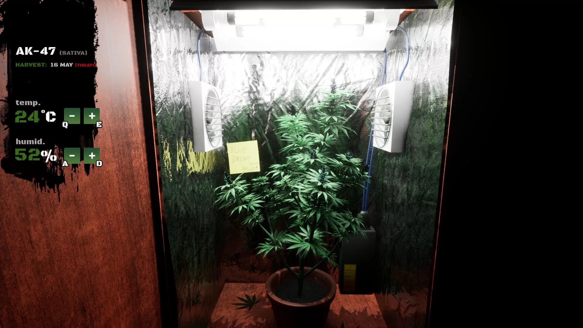 Drag simulator. Drug dealer simulator. drug dealer simulator (2025). драг дилер симулятор. игры про коноплю.