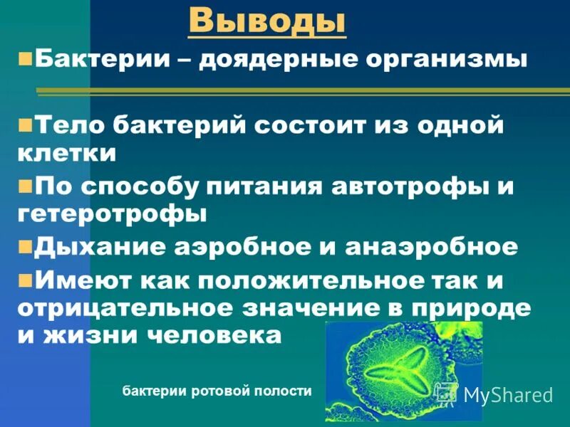 Прокариот автотроф